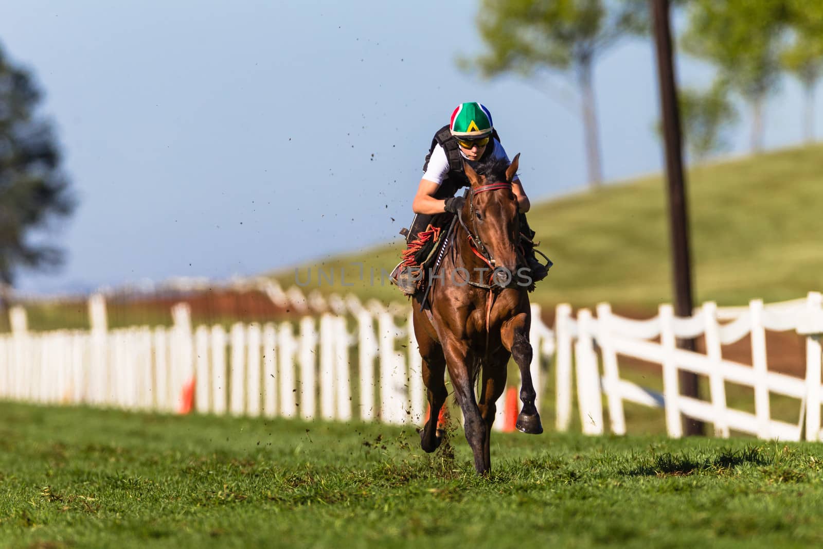 Jockey riding focusing on race horse galloping on grass track training