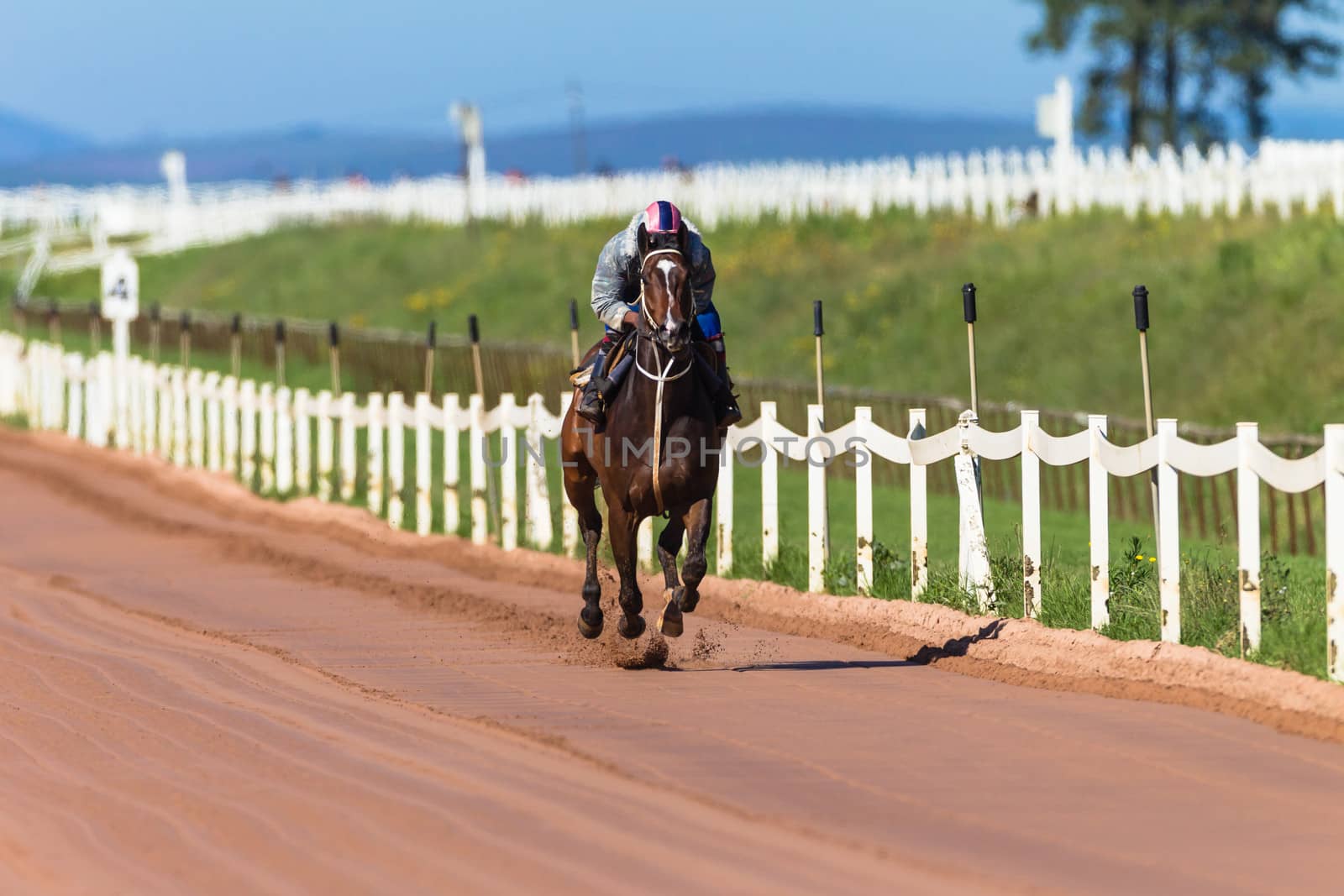 Jockey riding focusing on race horse galloping on sand track training