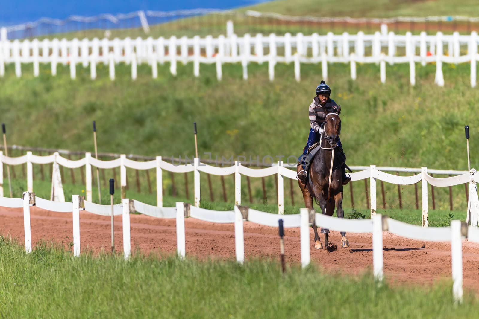 Jockey riding focusing on race horse galloping on sand track training