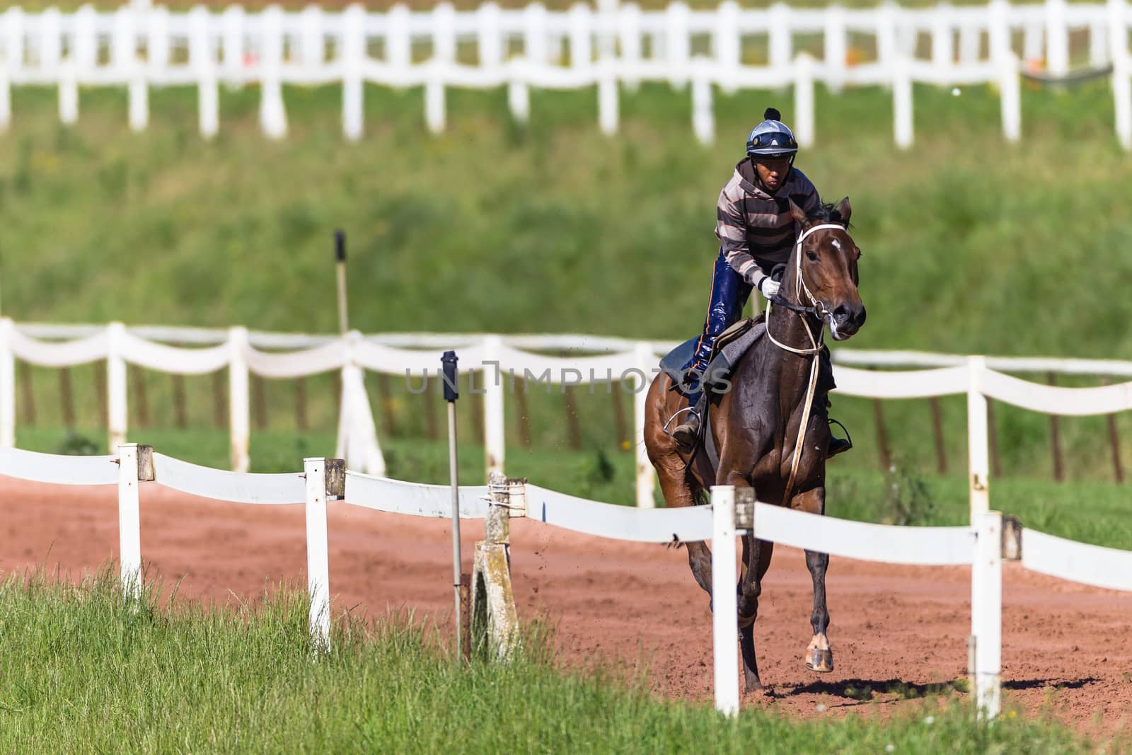 Jockey riding focusing on race horse galloping on sand track training