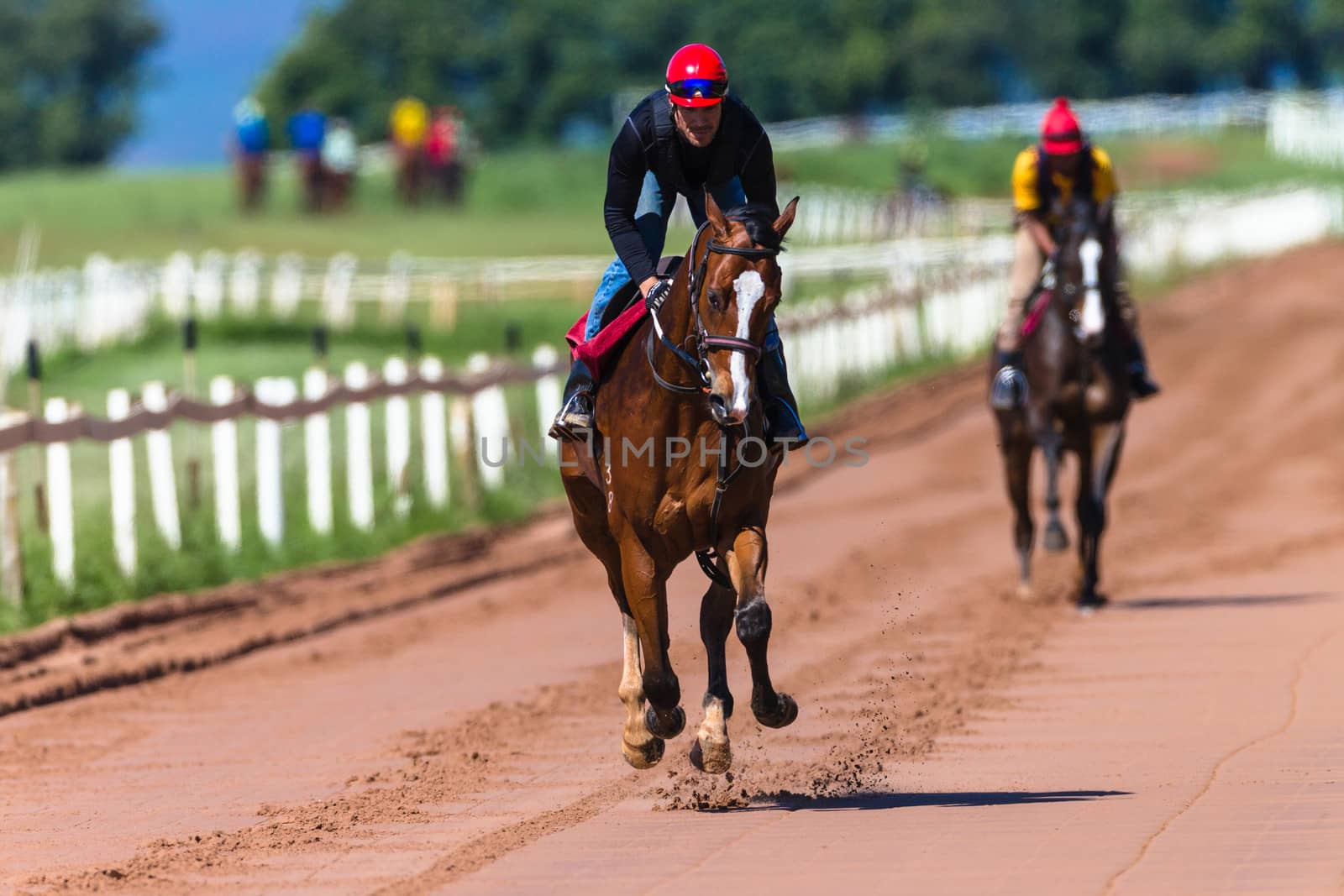 Jockeys Grooms riding race horses galloping on sand track training