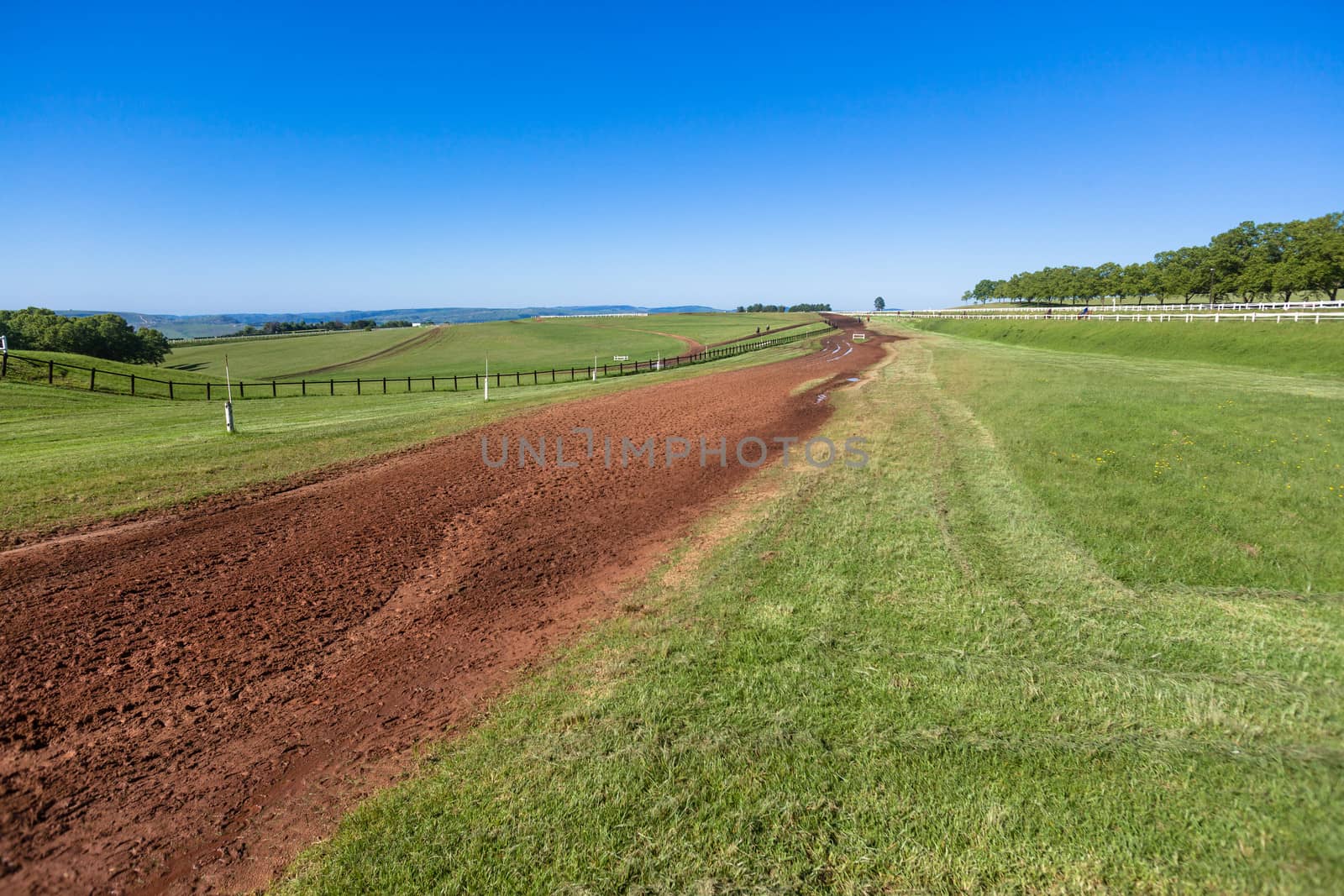 Race Horses Training by ChrisVanLennepPhoto