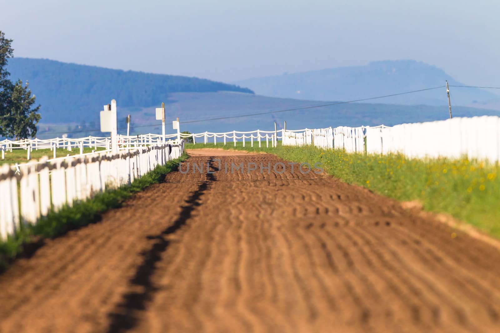 Sand Track Horse Training by ChrisVanLennepPhoto