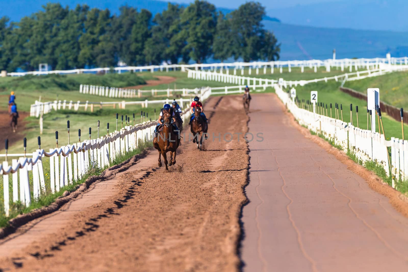 Race Horses Training by ChrisVanLennepPhoto