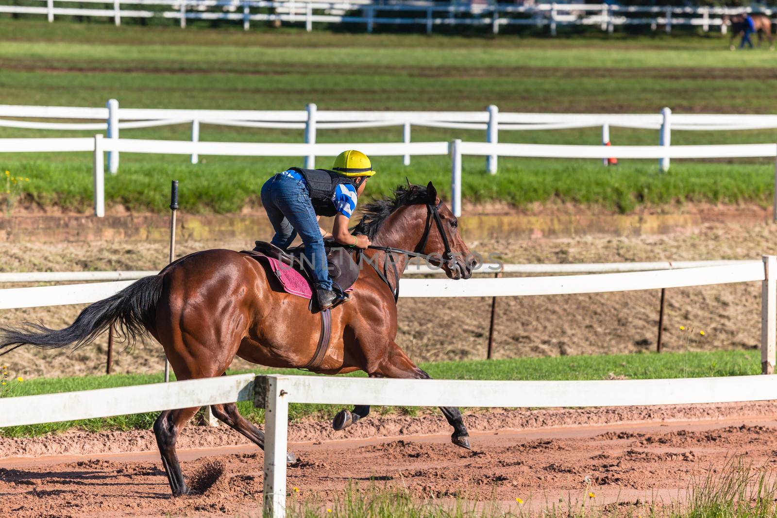 Apprentice jockey riding race horse on sand track training.