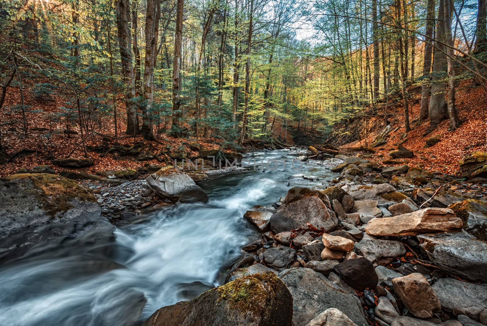 Fresh water in a mountain stream among stones
