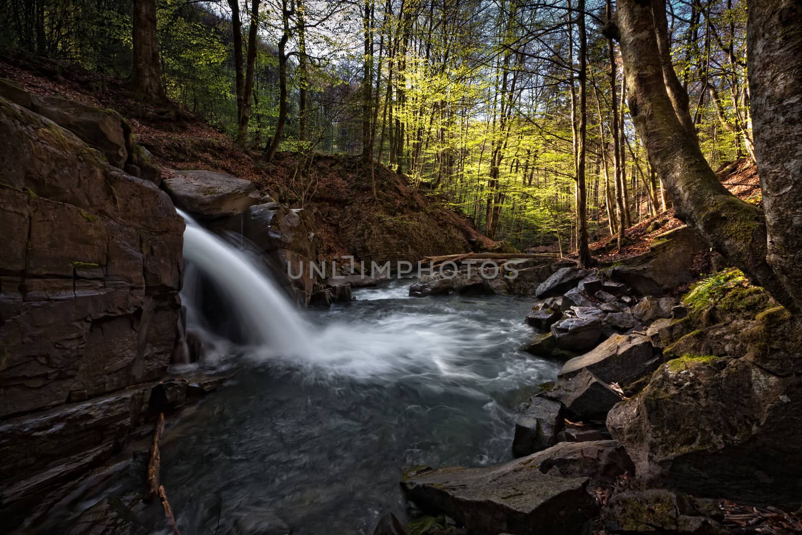 Waterfall on a mountain river in the forest
