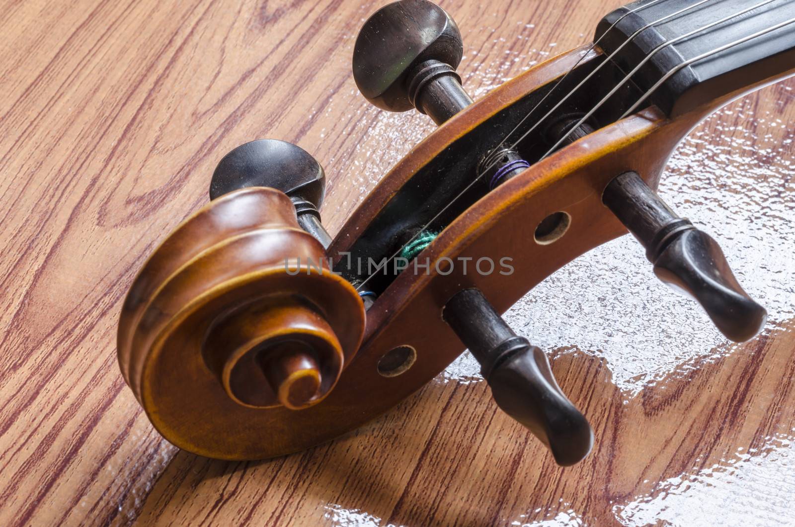 string instrument "violin" on wood background