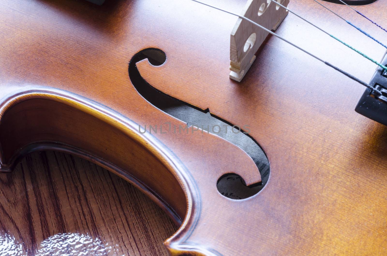 string instrument "violin" on wood background