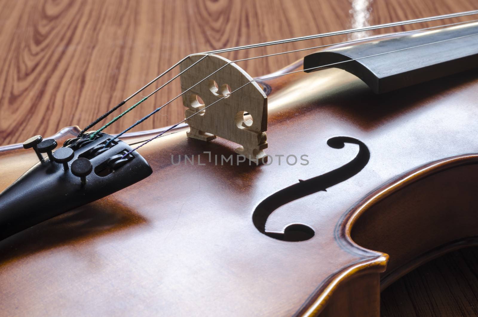 string instrument "violin" on wood background