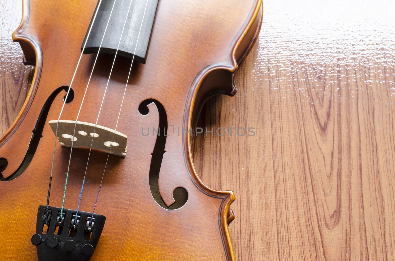 string instrument "violin" on wood background