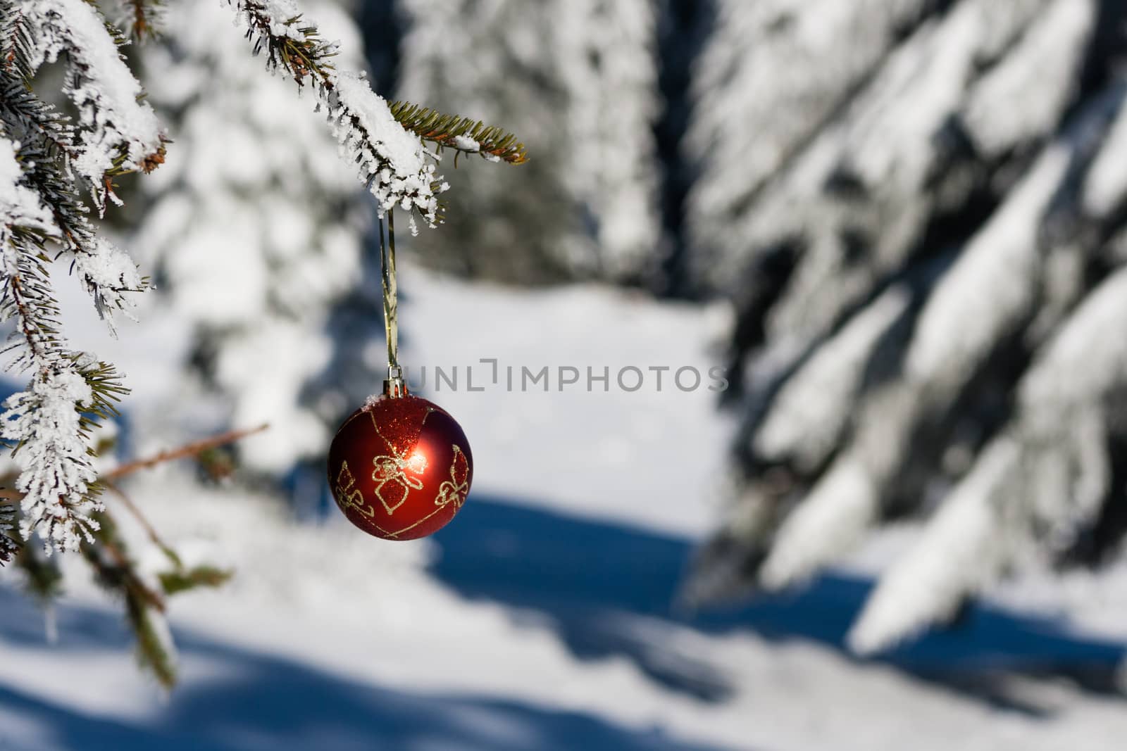 Christmas decoration hanging on tree with snow