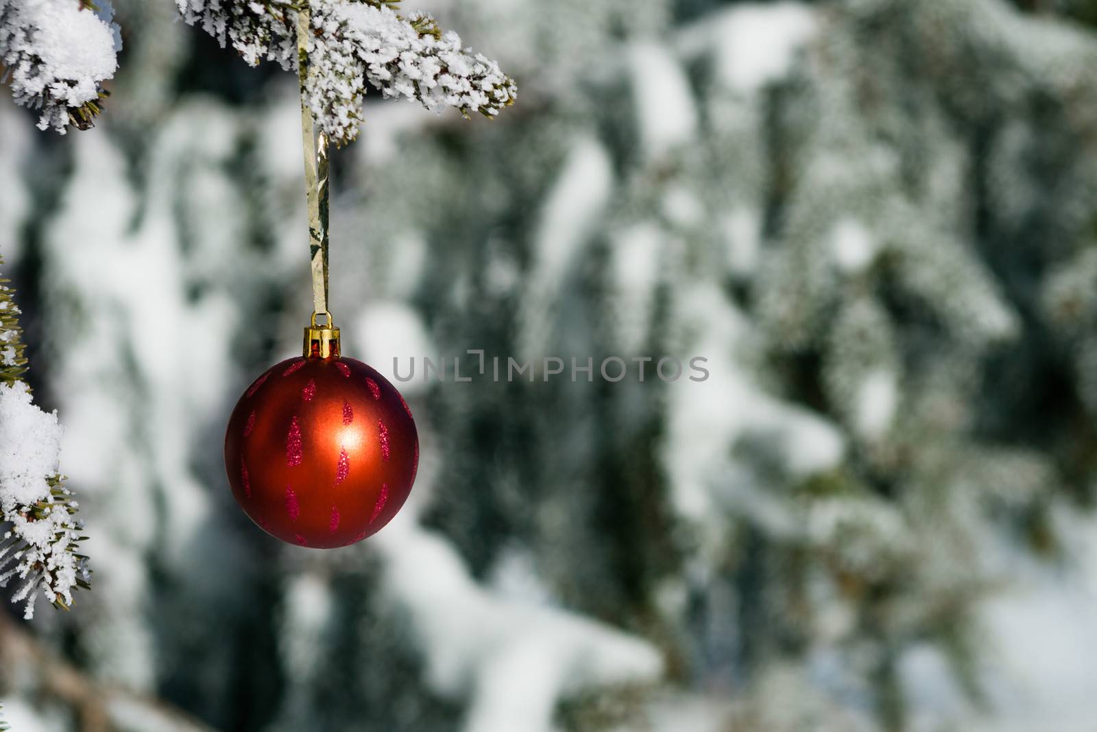 Christmas decoration hanging on tree with snow