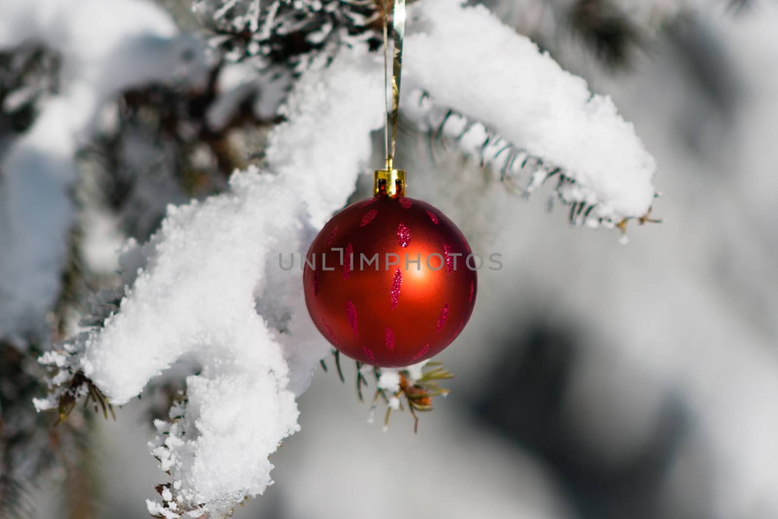 Christmas decoration hanging on tree with snow