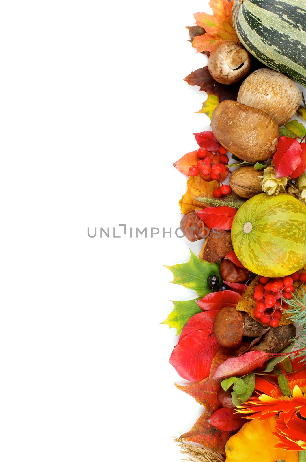 Border of Various Autumn Leafs, Vegetables, Berries, Mushrooms and Nuts isolated on white background. Vertical View