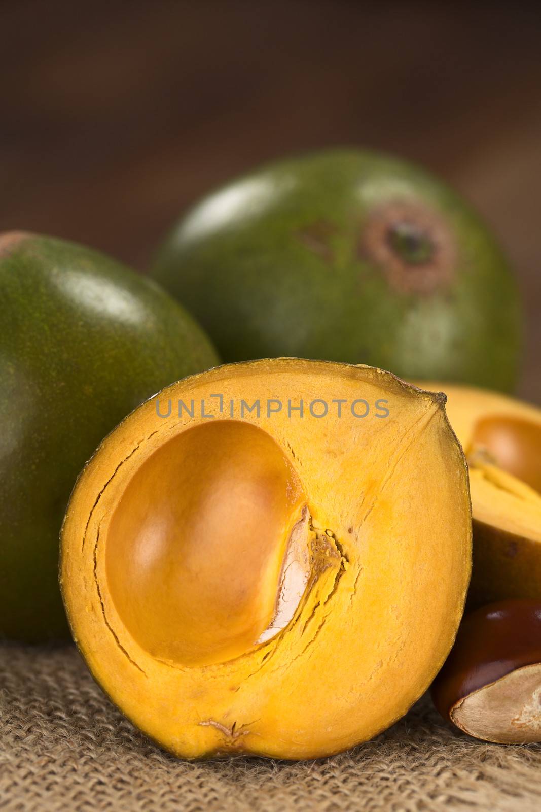 Peruvian fruit called Lucuma (lat. Pouteria lucuma) which has a dry, sweet flesh, and is mostly used to prepare juices, milkshakes, yogurts, ice cream and other desserts (Selective Focus, Focus on the upper part of the standing lucuma half) 