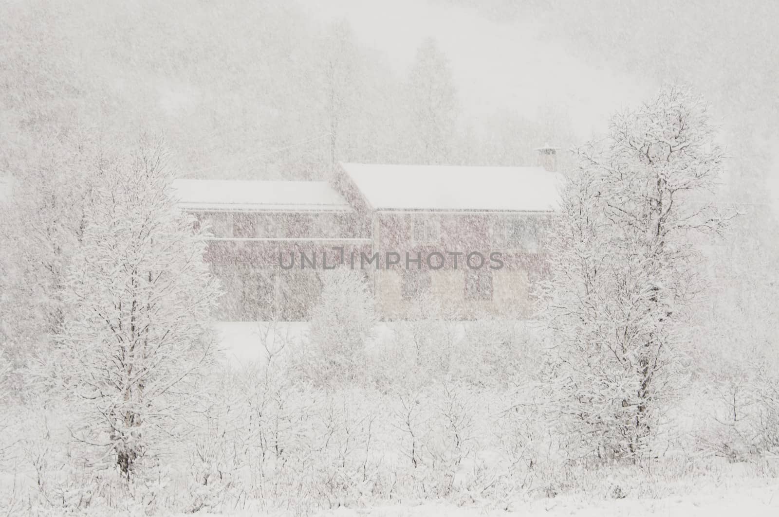 A red house almost invisible in heavy snowfall, 