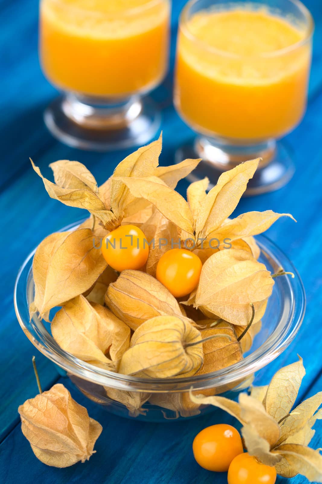 Physalis by ildi