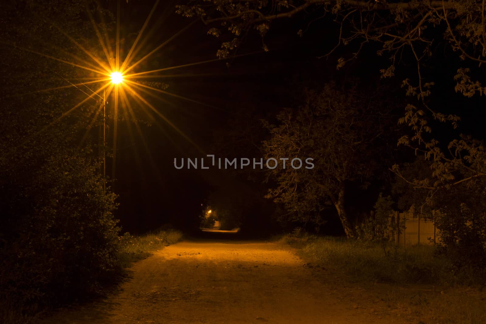 Night country road with a street lamps