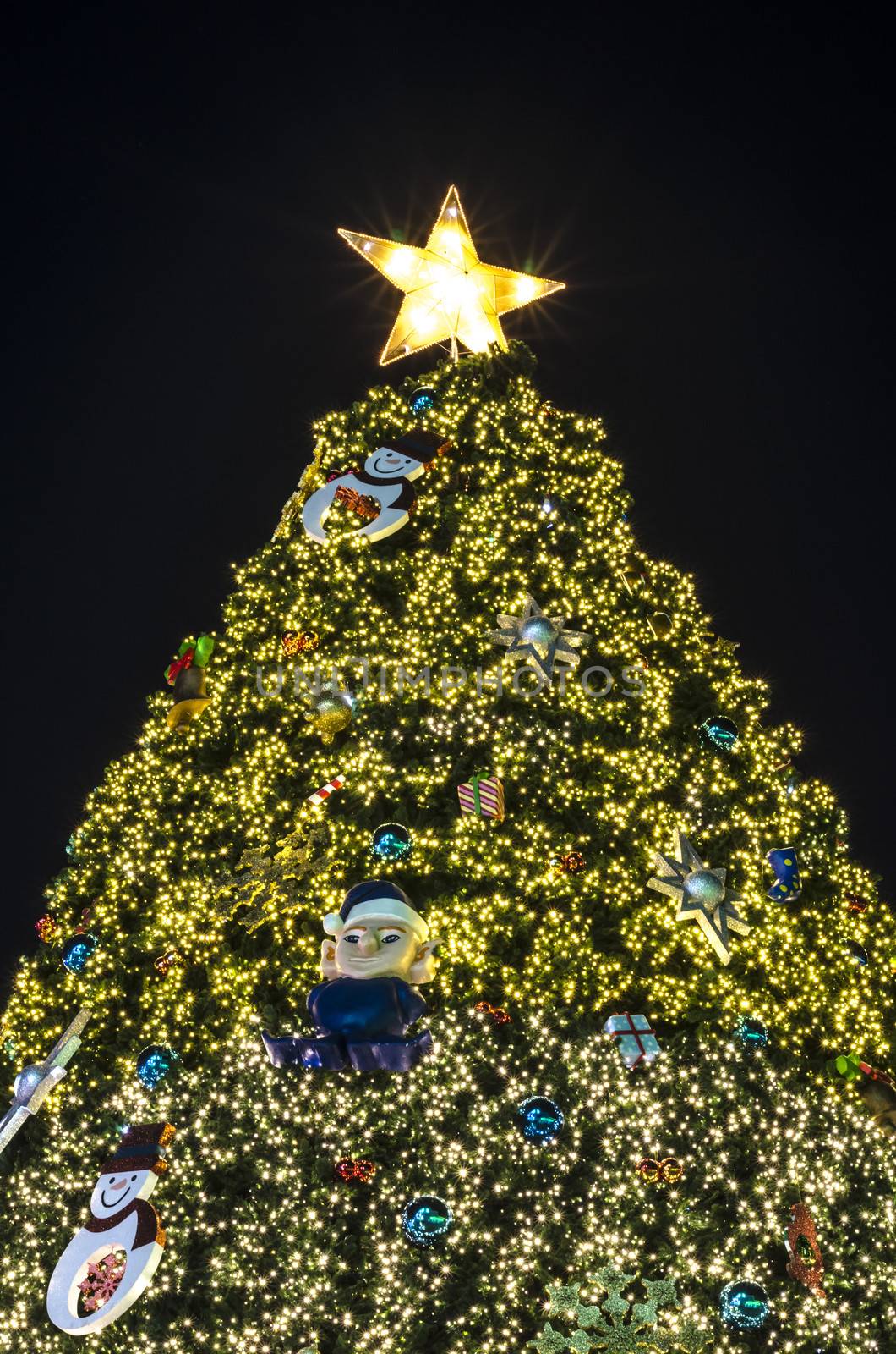 christmas festival with decorate Christmas tree lighting