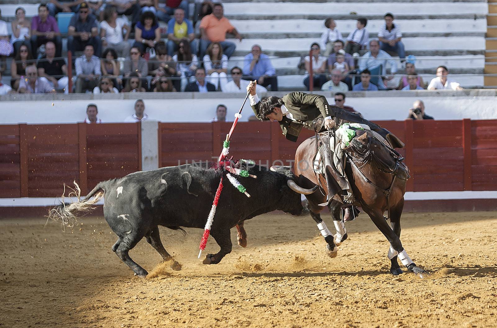 Pozoblanco, Cordoba province, SPAIN - 25 september 2011: Spanish bullfighter on horseback Diego Ventura bullfighting on horseback, with the sword of death to kill the bull, in Pozoblanco, Cordoba province, Andalusia, Spain