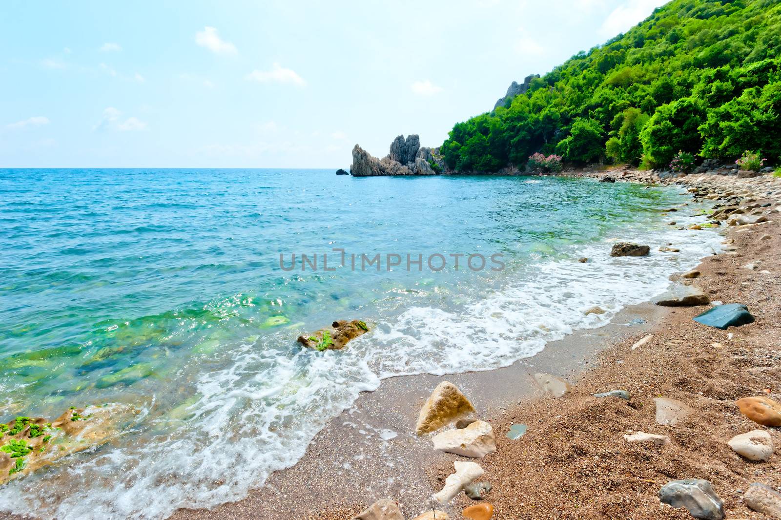 Rocky beach, green hill, azure waters of the sea.