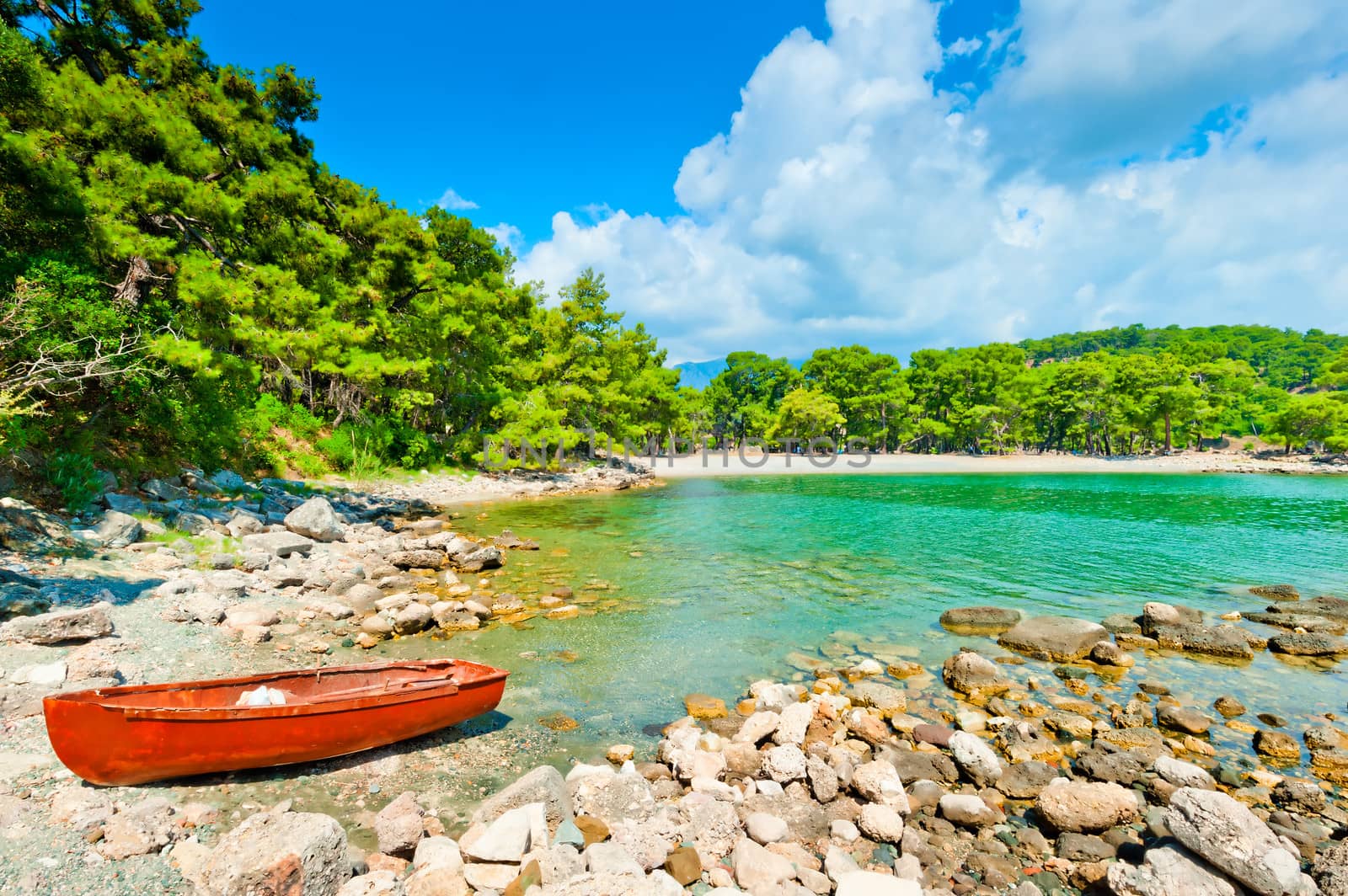 rocky shore, the boat and the beautiful landscape of pine