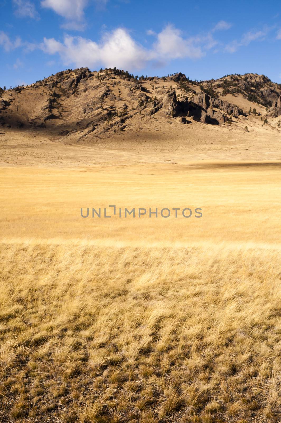 Grassland leads up to rocky hillside in this northern rural landscape