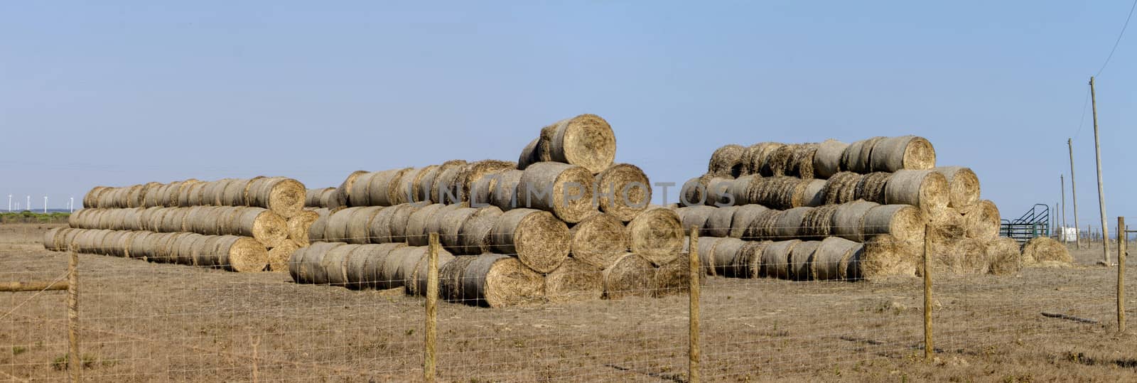 stack of hay bales by membio
