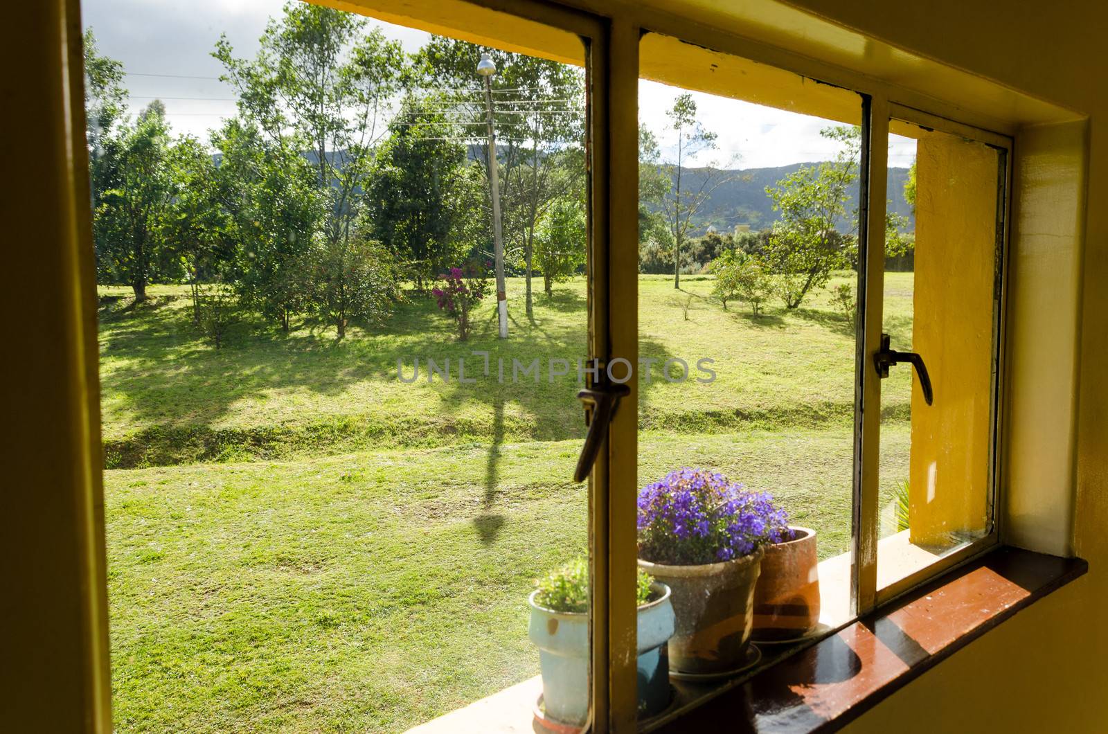 Windowsill and flowers in Neusa in Cundinamarca, Colombia