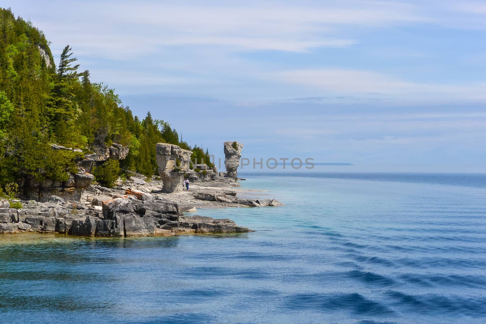 Lake side view during the summer by IVYPHOTOS