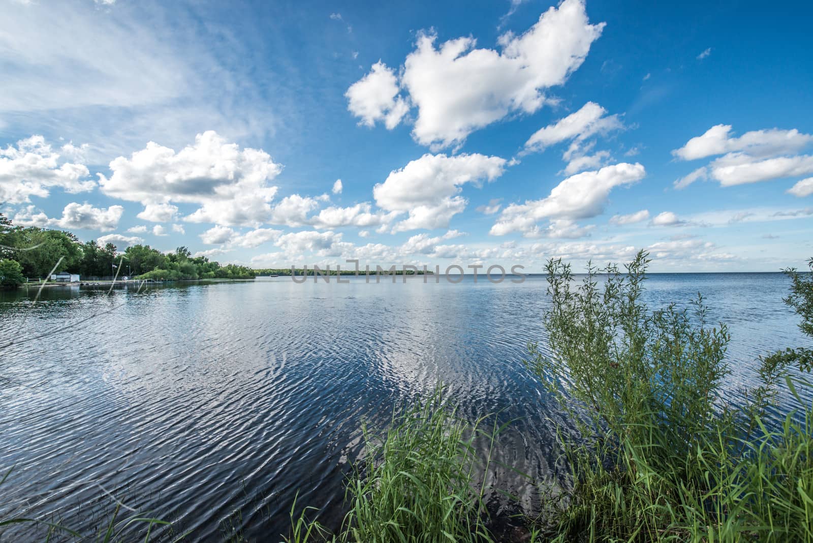 Beautiful landscape of quiet lake and shore during the summer