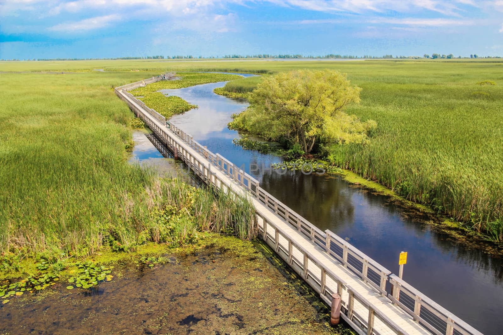 Grass field with river and bridge by IVYPHOTOS