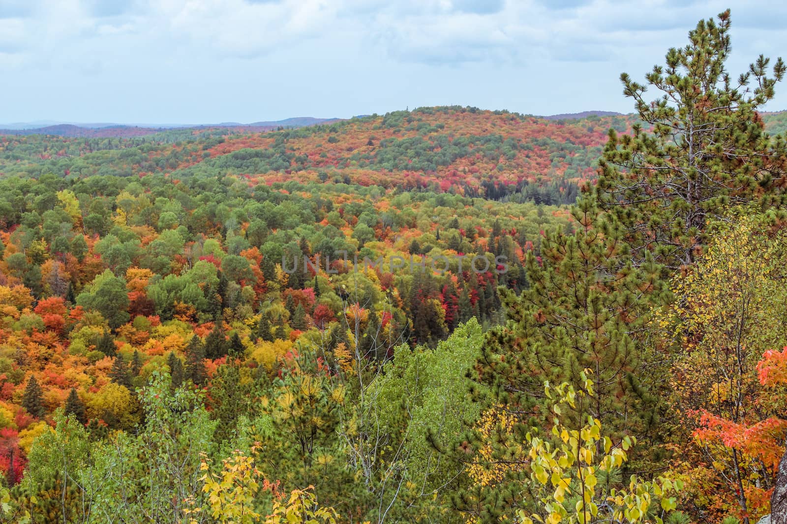 Landscape view of the entire Algonquin National Park during autumn