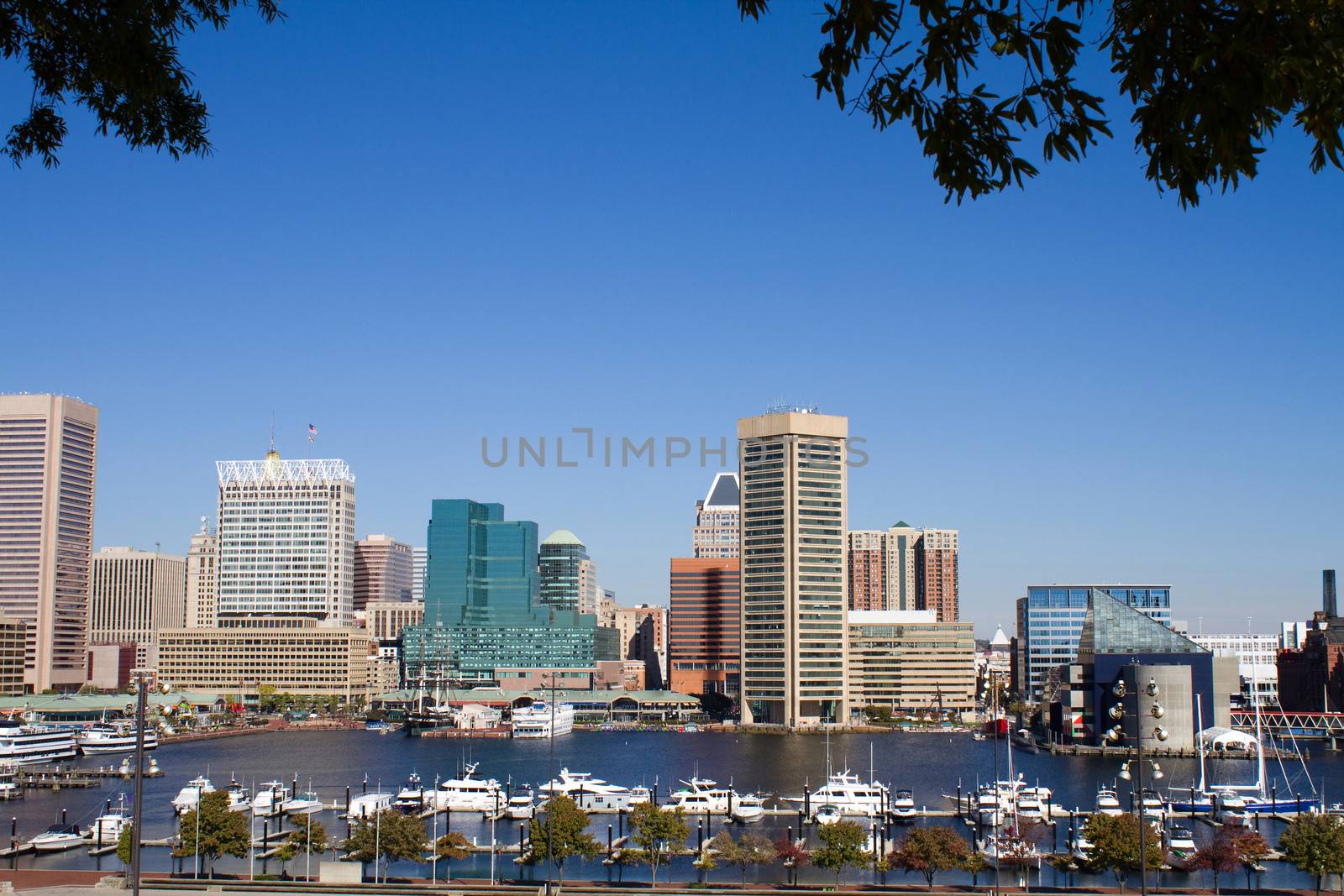 Skyline of Baltimore city downtown area with the Inner Harbor and yacht basin.