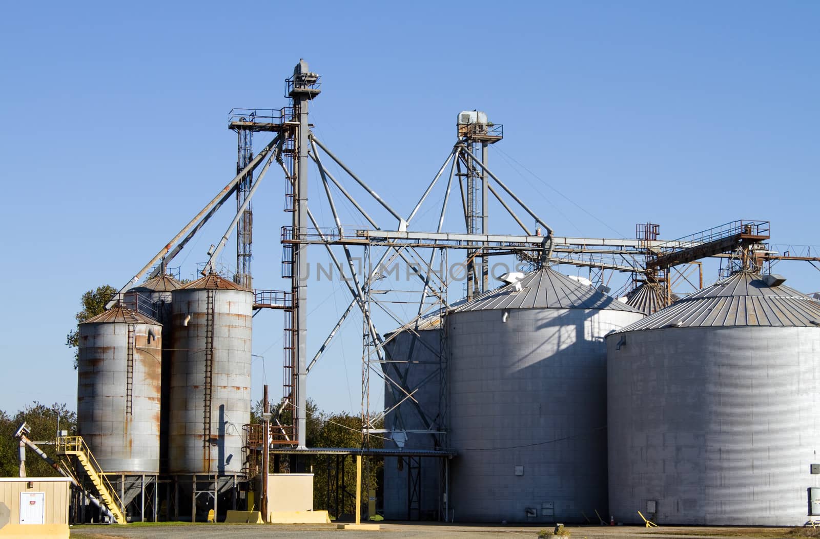 Grain storage silos with elevator equipment to move bulk crops to the containers.