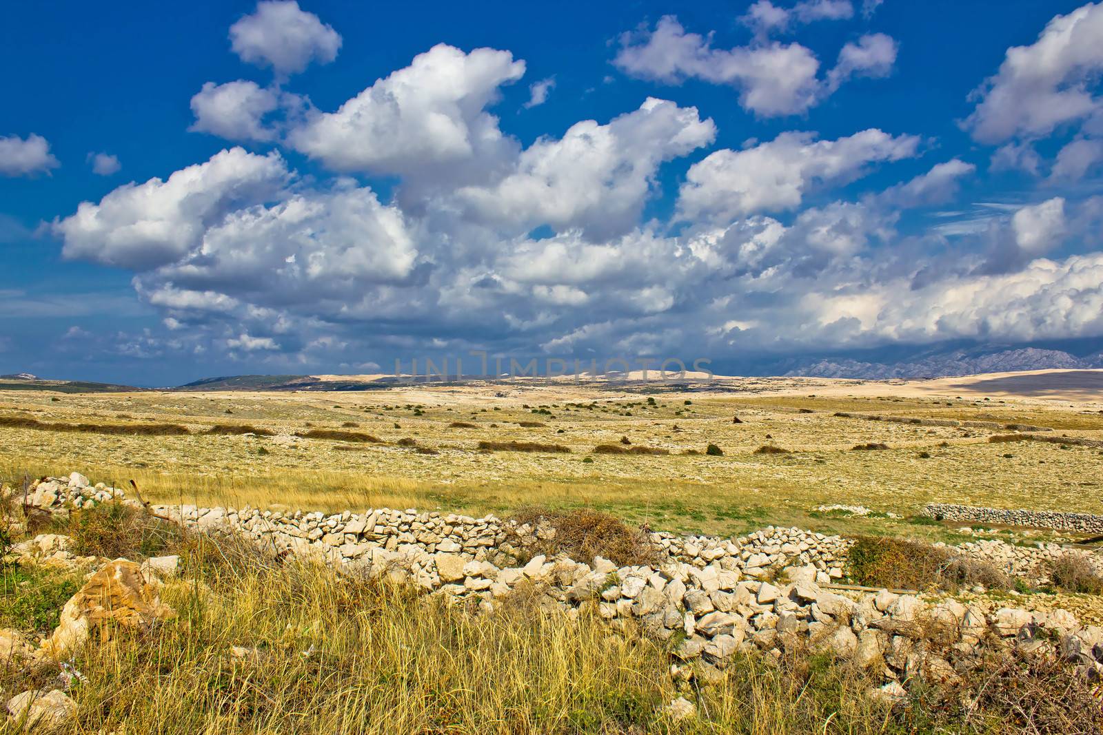 Summer landscape of Pag island, Dalmatia, Croatia