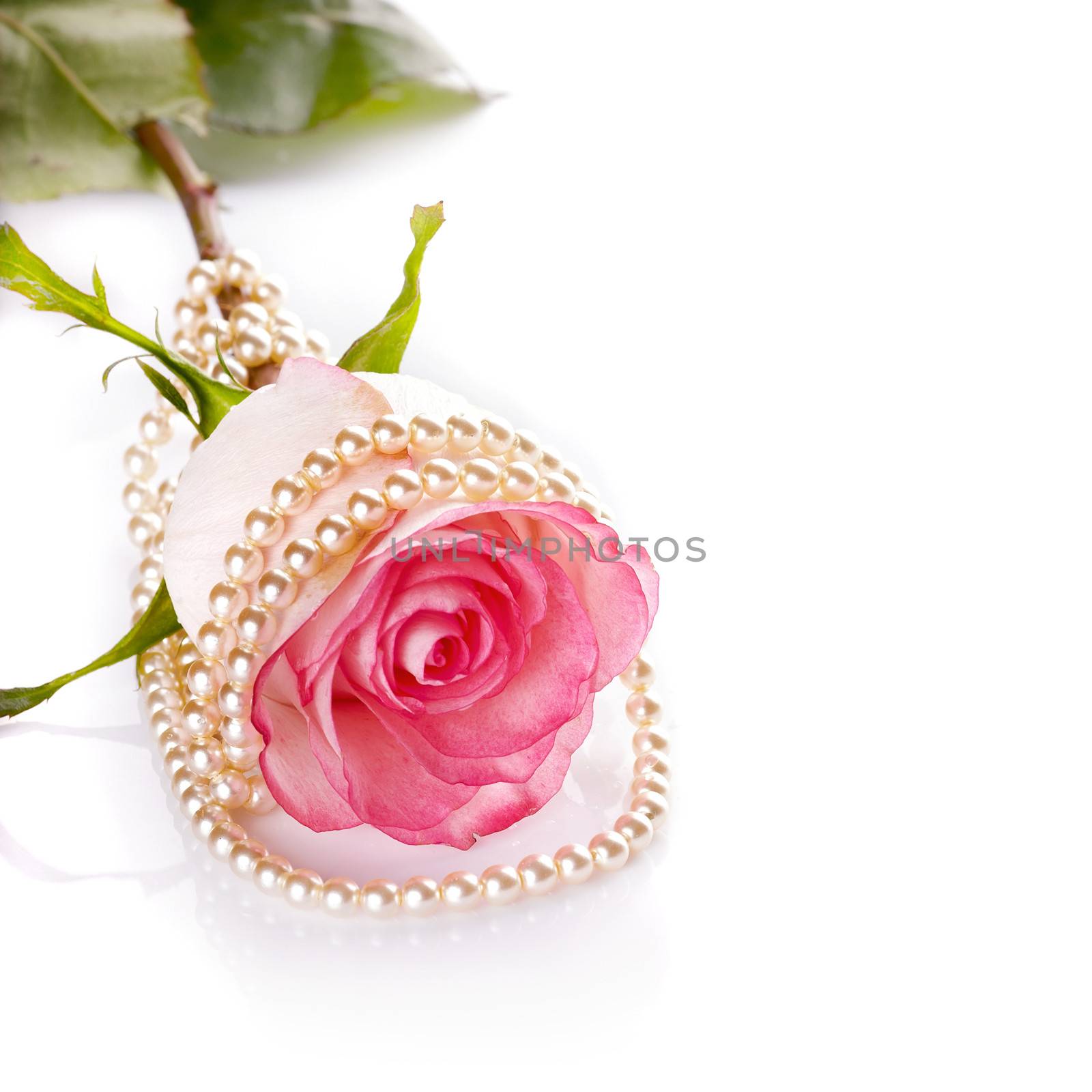 Pink rose and pearl beads. by Azaliya