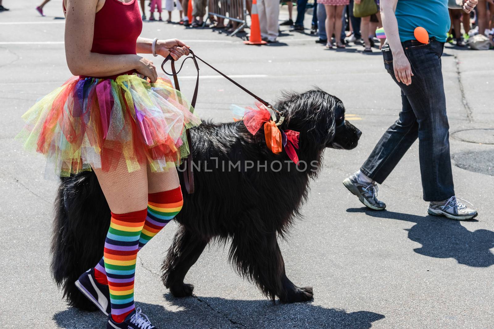 Minneapolis, MN, LGBT Pride Parade 2013 by IVYPHOTOS