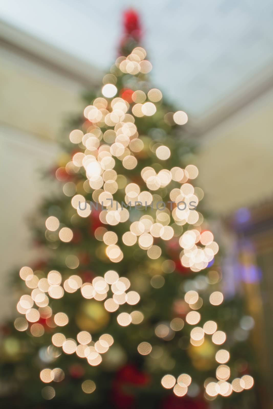 Christmas Tree Tall Perspective Defocused Decoration Ornaments Ribbons Poinsettia and Presents Under the Tree with Bokeh Lights