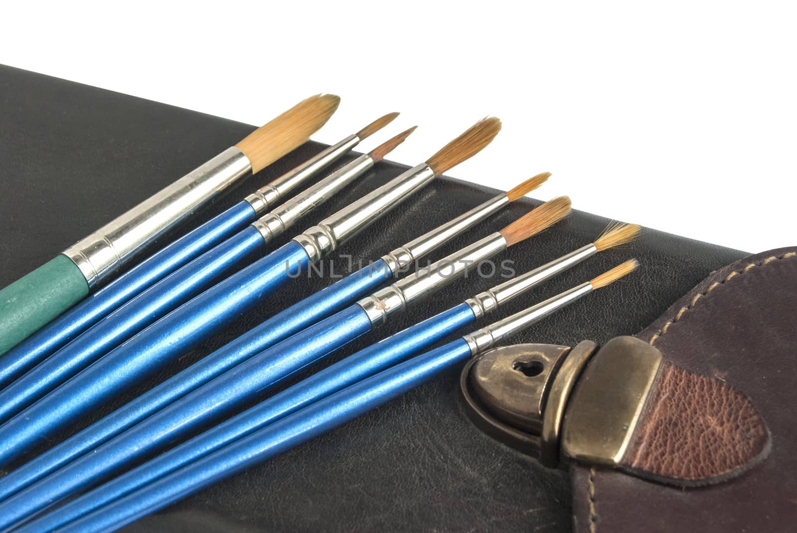 Leather case and paint brushes by varbenov