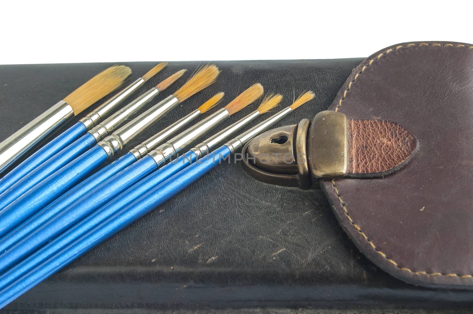 Leather case and paint brushes by varbenov