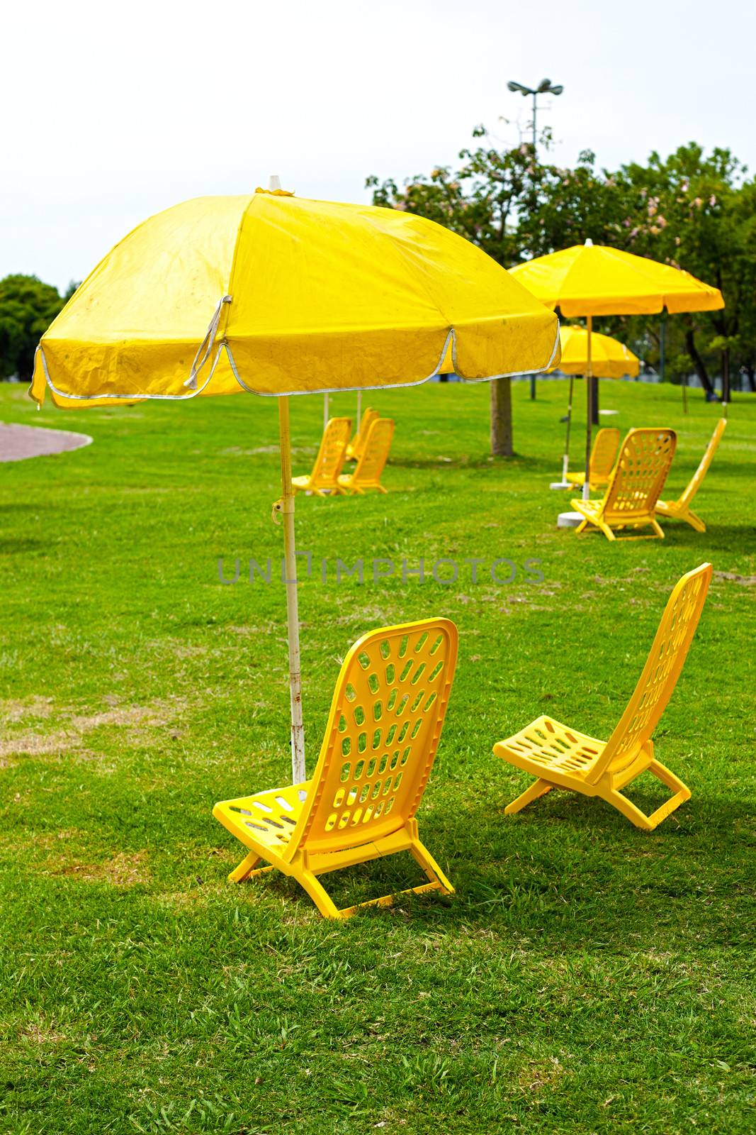 yellow umbrellas and loungers standing on the grass by jannyjus