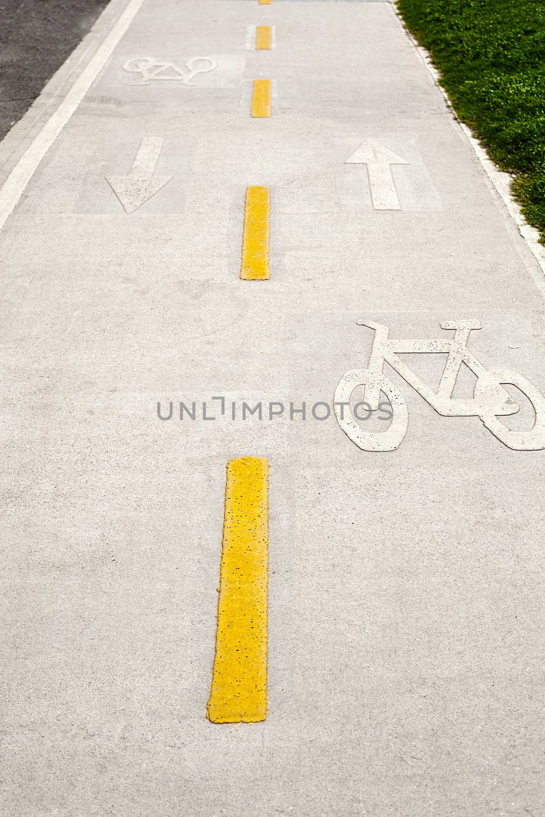 bicycle lane in the park by jannyjus