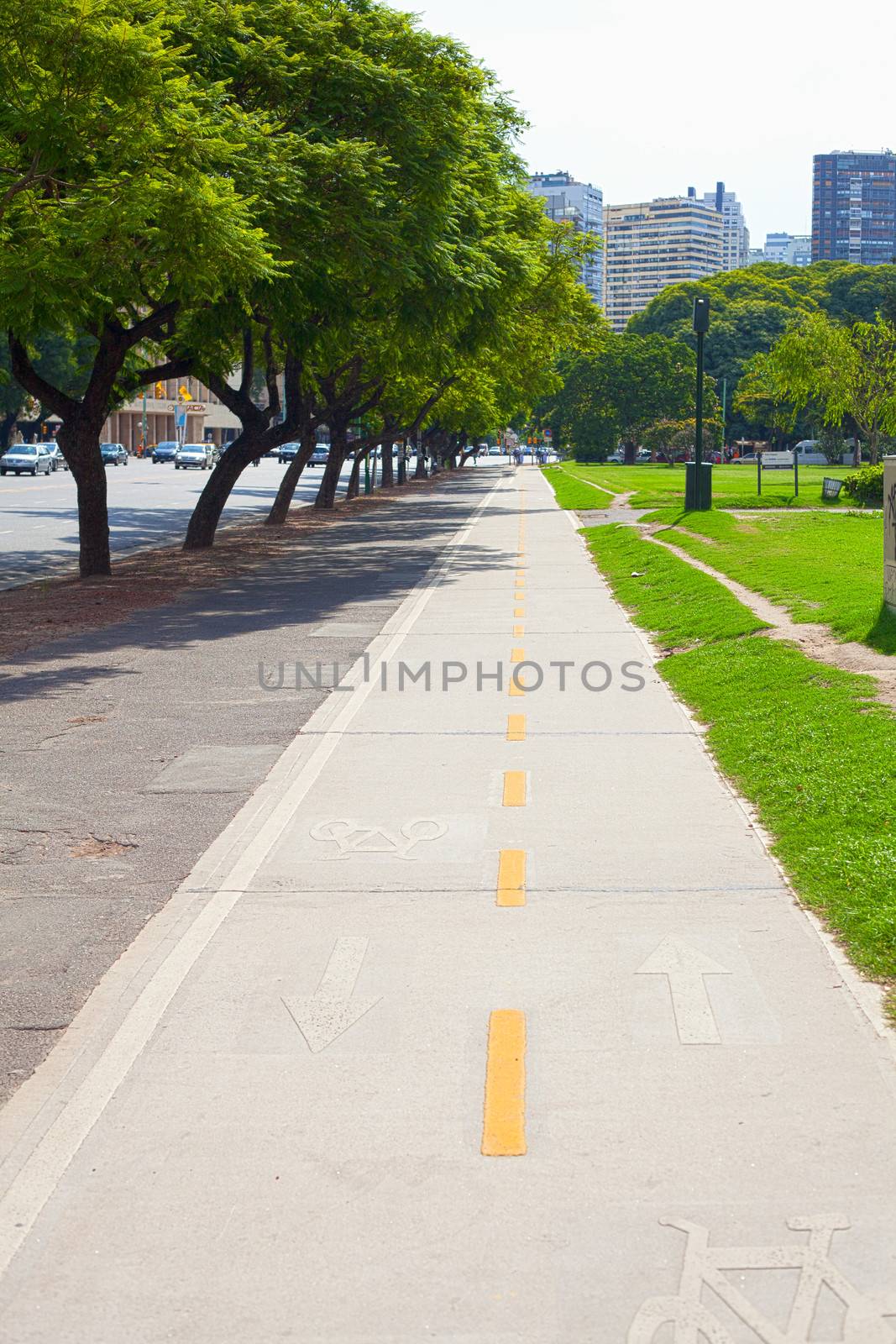 bicycle lane in the park by jannyjus