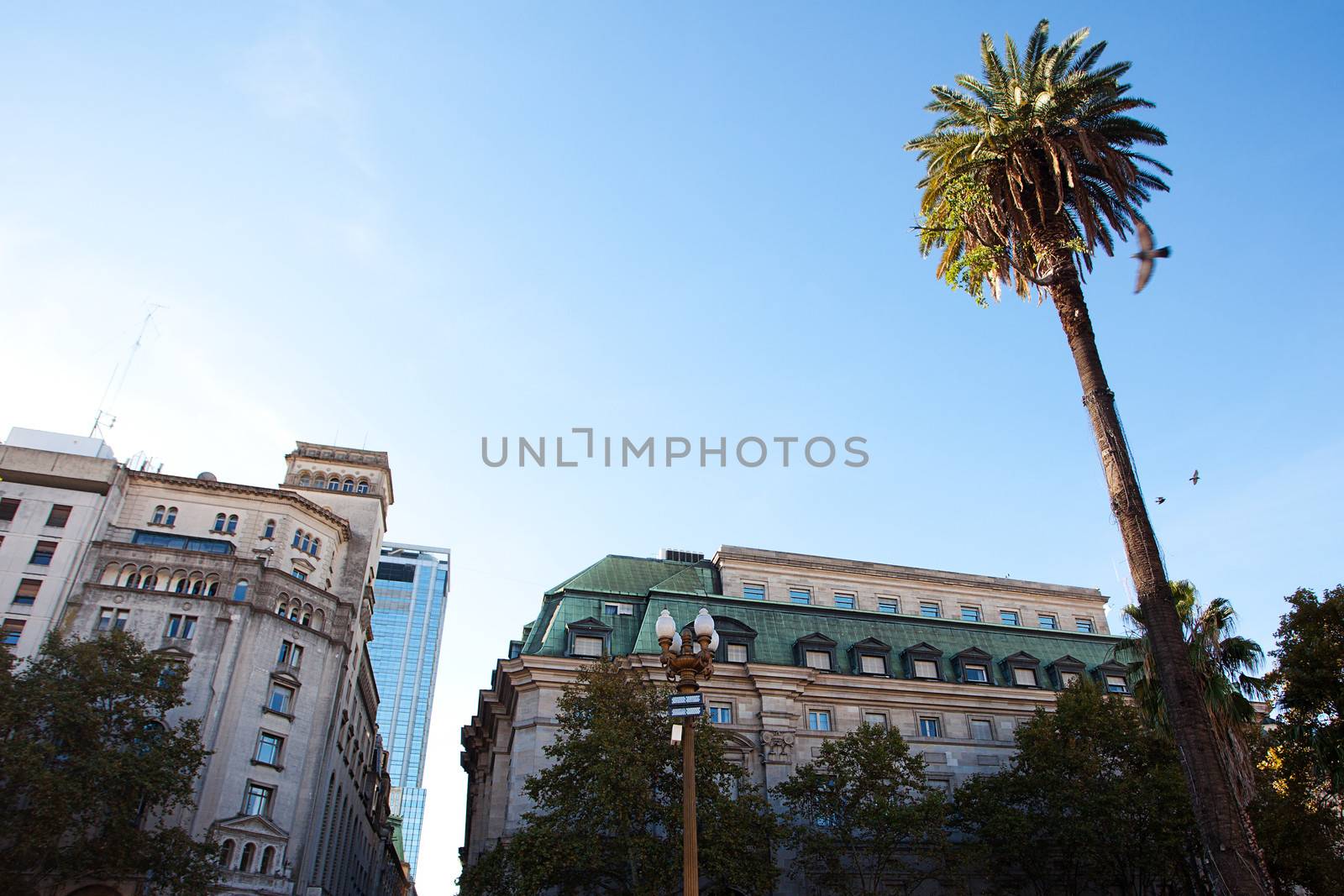 view of the Plaza de Mayo in Buenos Aires, Argentina