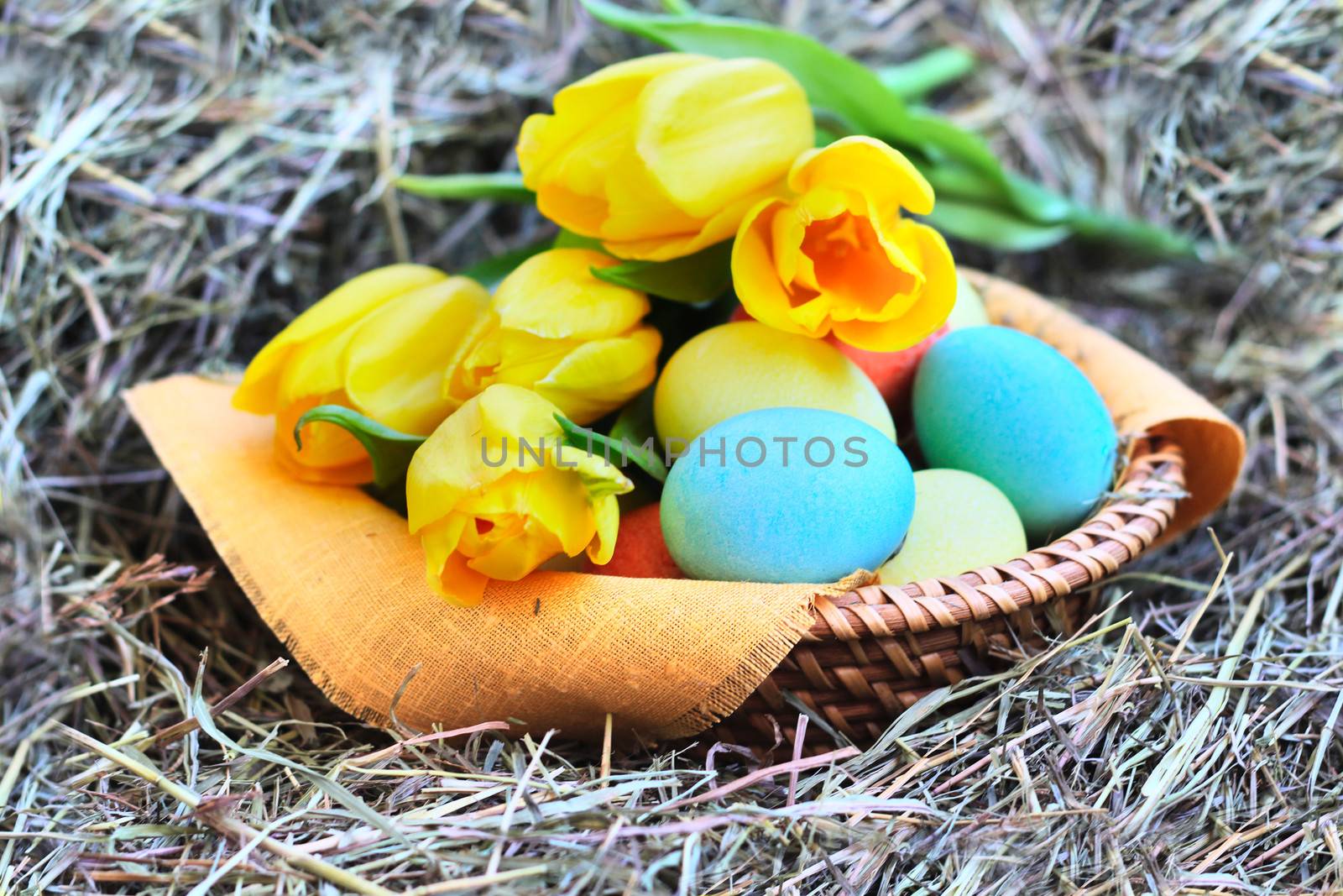 Basket of colored easter eggs and tulips on hay