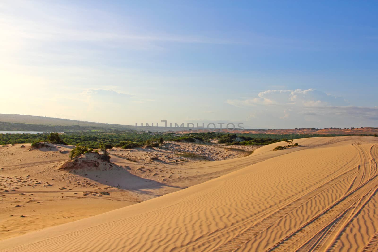 Sand desert landscape under bluy sky at sunny day