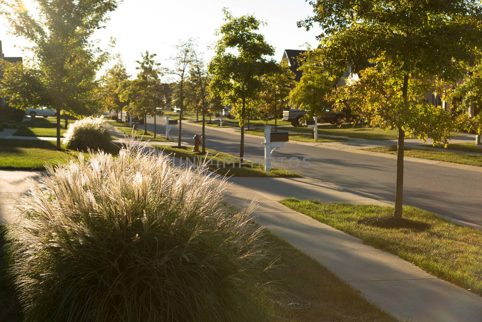 Neighborhood landscape design with ornamental grasses