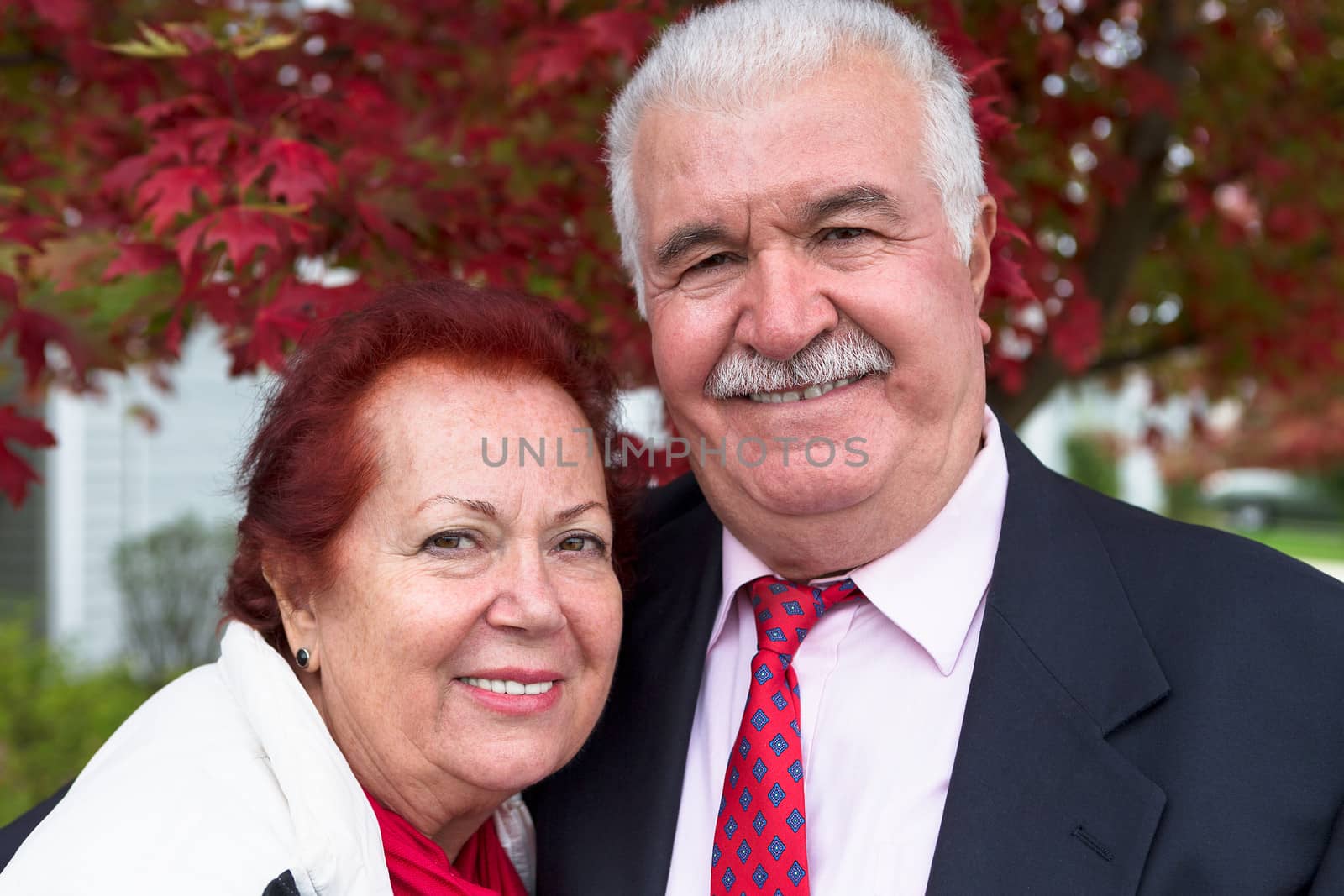 Senior Couple Portrait Under the Autumn Tree by coskun